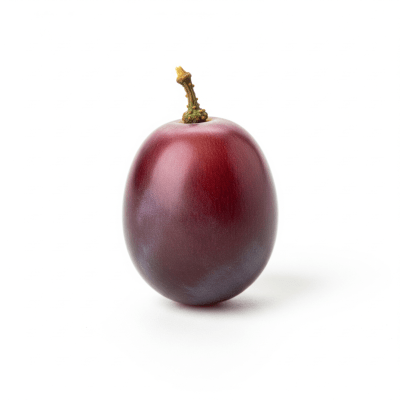 High quality studio photograph of a single Grape, classified under the taxonomy berries
