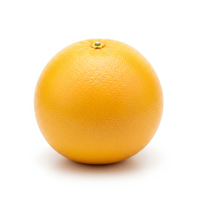 High quality studio photograph of a single Grapefruit from the fruits taxonomy