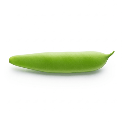 High quality studio photograph of a single Green Bean