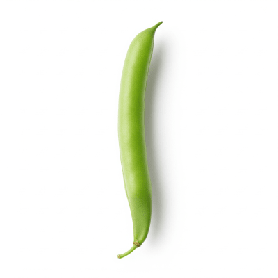 High resolution studio photograph of a single Green Bean