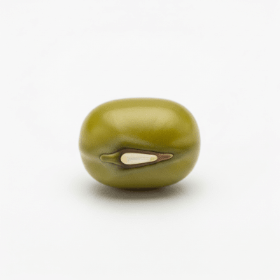 High resolution studio photograph of a single Green Gram