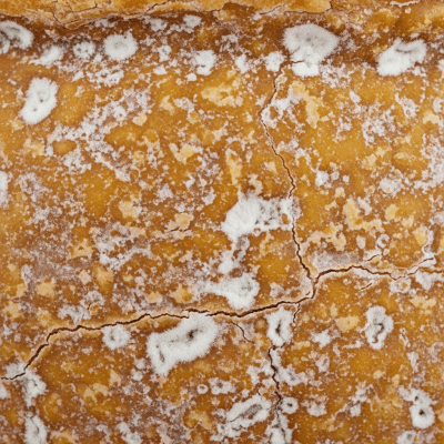 A close-up macro photograph of the rind and surface texture of a Gruyère