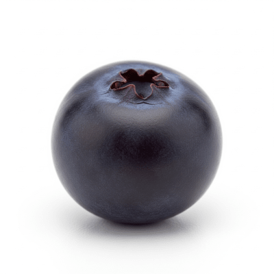 High quality studio photograph of a single Huckleberry, classified under the taxonomy berries