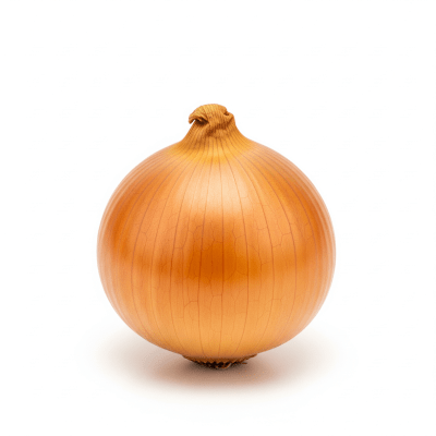 High quality photograph of a single Hylander onion