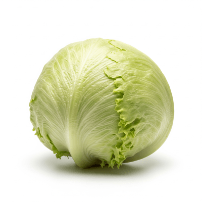 High resolution photograph of a single Iceberg Lettuce