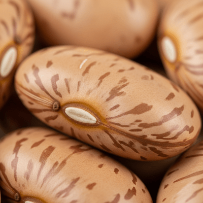 A close-up macro shot of Jack Bean (beans) showing its texture, surface details, and natural colors
