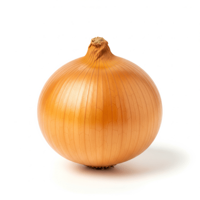 High quality photograph of a single Jaune Paille des Vertus onion