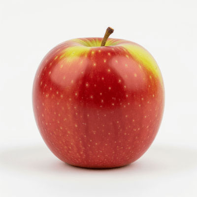 High quality studio photograph of a single Jazz