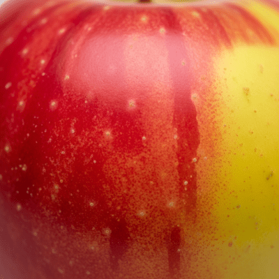 A detailed macro shot focusing on the skin texture and color variation of a Jonagold