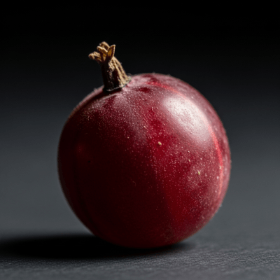 An editorial-quality hero shot of a single Jostaberry from the taxonomy berries.