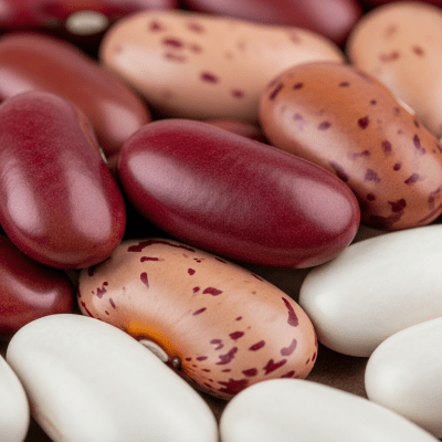 A close-up macro shot of Kidney Bean (beans) showing its texture, surface details, and natural colors