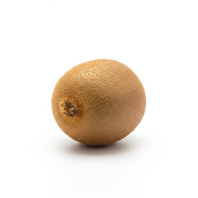 High quality studio photograph of a single Kiwi from the fruits taxonomy