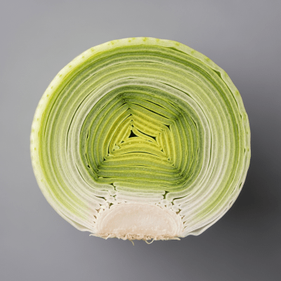 Detailed cross-sectional view of a fresh Leek
