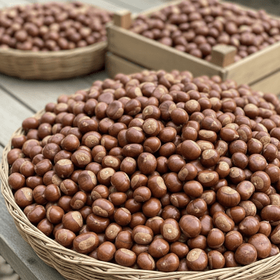 Photo showing harvested Malabar chestnut (nuts) nuts in bulk, such as in baskets or containers