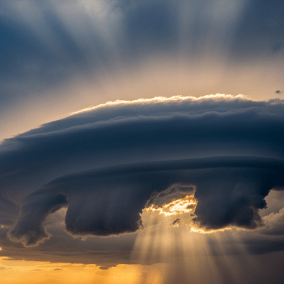 Editorial-style image of a Mamma, part of the taxonomy clouds.