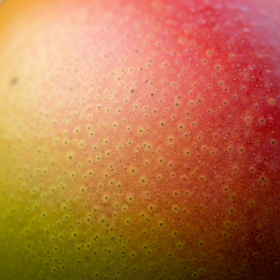 Macro shot capturing the surface texture and color details of the Mango, within the fruits taxonomy