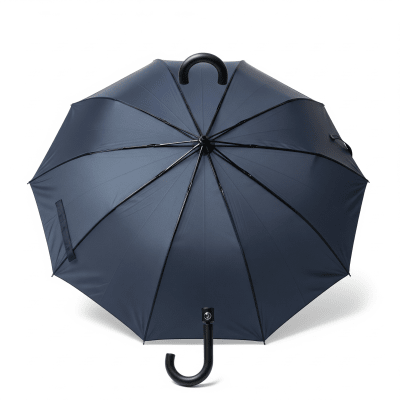 High quality studio photograph of a Manual Folding Umbrella