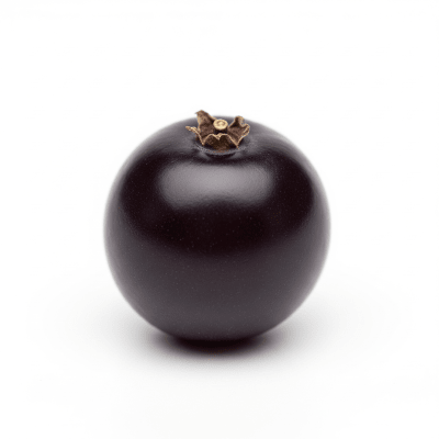 High quality studio photograph of a single Maqui Berry, classified under the taxonomy berries