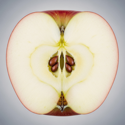 A close-up image showing a cross-section of a McIntosh of the taxonomy apples, sliced cleanly in half to reveal internal structure, seeds, and flesh