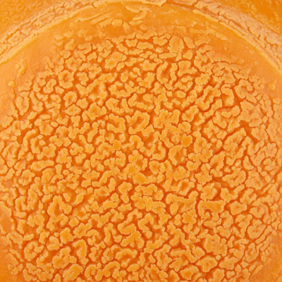 A close-up macro photograph of the rind and surface texture of a Mimolette