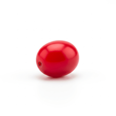 High quality studio photograph of a single Miracle Berry, classified under the taxonomy berries