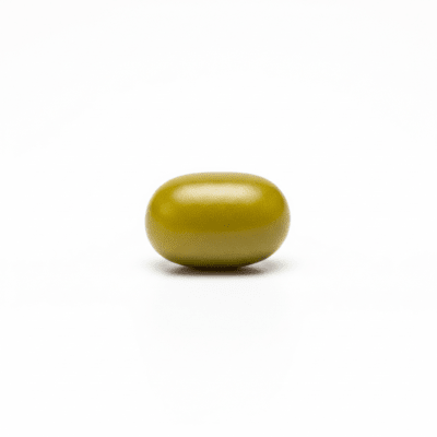 High quality studio photograph of a single Mung Bean