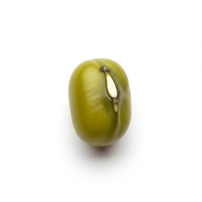 High resolution studio photograph of a single Mung Bean