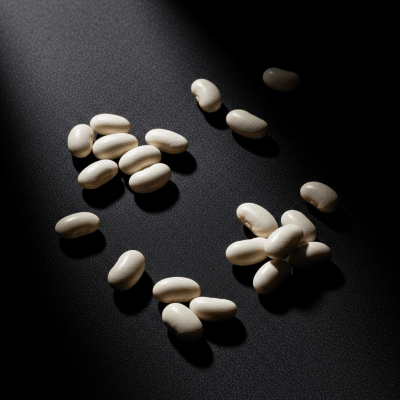 Editorial-style photograph of Navy Bean, part of the taxonomy beans, arranged aesthetically on a dark background with dramatic lighting to highlight its shape and color.