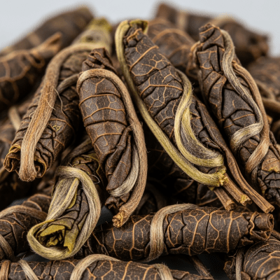 Macro photograph focusing on the texture and details of Nilgiri Tea leaves, within the taxonomy teas