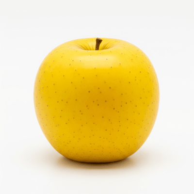 High quality studio photograph of a single Opal