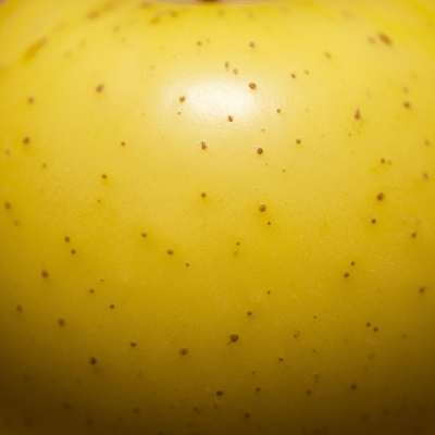 A detailed macro shot focusing on the skin texture and color variation of a Opal