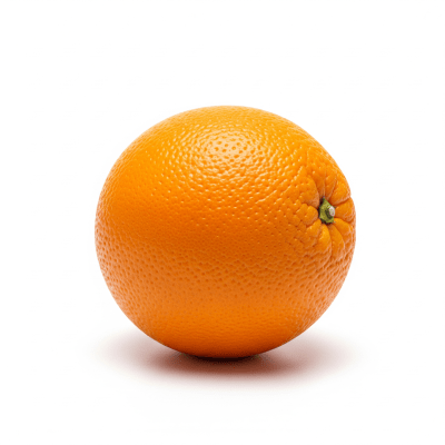 High quality studio photograph of a single Orange from the fruits taxonomy