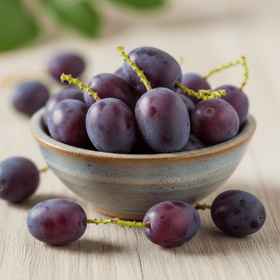 A high resolution image of several fresh Oregon Grapes arranged in a simple bowl, representing their use within the taxonomy berries