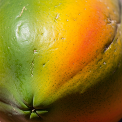 Macro shot capturing the surface texture and color details of the Papaya, within the fruits taxonomy
