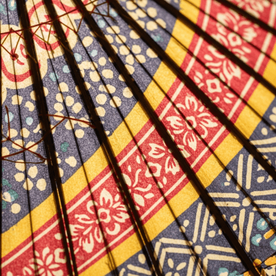 A close-up macro photograph focusing on the texture and pattern of the canopy fabric of a Paper Umbrella (umbrellas)