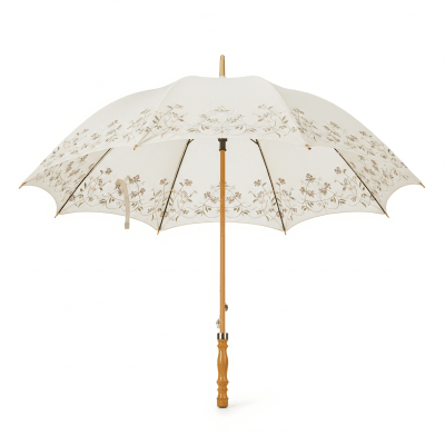 High quality studio photograph of a Parasol