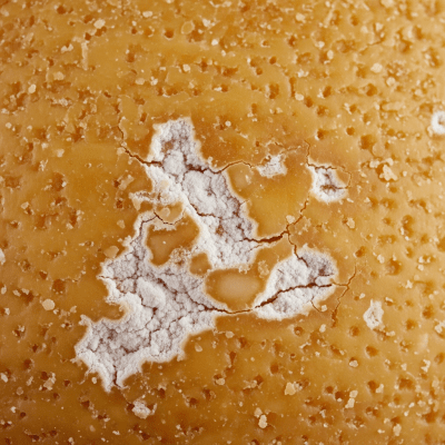 A close-up macro photograph of the rind and surface texture of a Parmesan