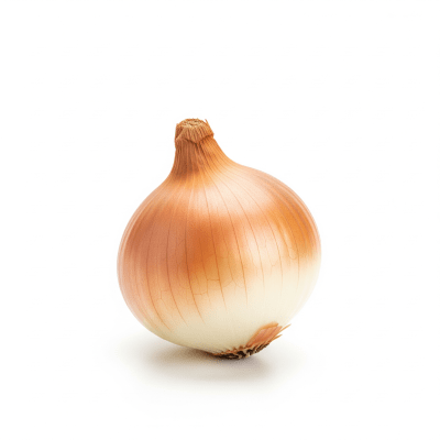 High quality photograph of a single Pickling onion