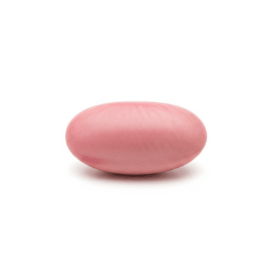 High quality studio photograph of a single Pink Bean