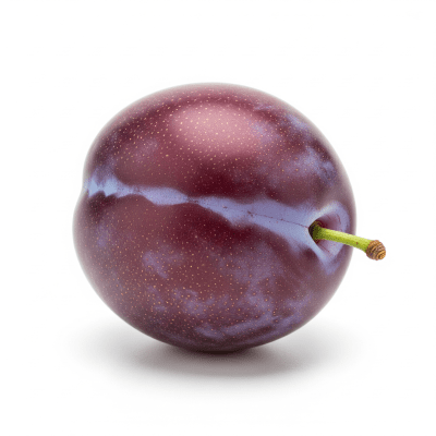 High quality studio photograph of a single Plum from the fruits taxonomy