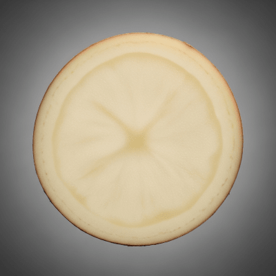 Detailed cross-sectional view of a fresh Potato