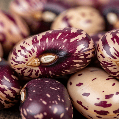 A close-up macro shot of Purple Hull Pea (beans) showing its texture, surface details, and natural colors
