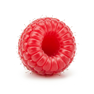 High quality studio photograph of a single Raspberry, classified under the taxonomy berries
