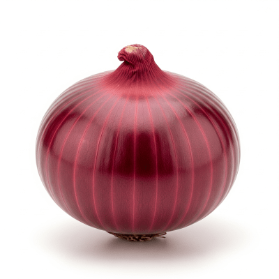 High quality photograph of a single Red Baron onion