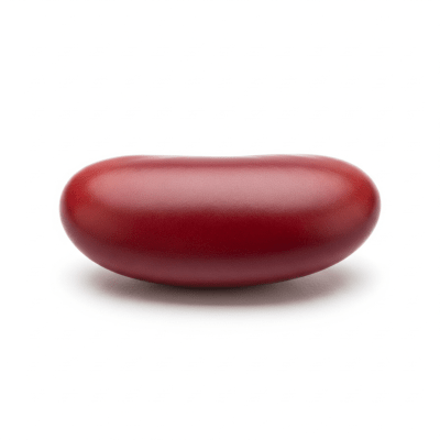 High quality studio photograph of a single Red Bean