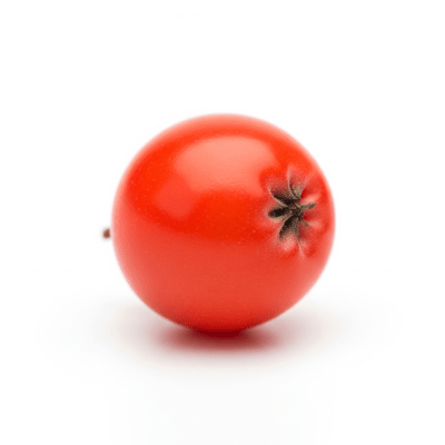High quality studio photograph of a single Rowan Berry, classified under the taxonomy berries