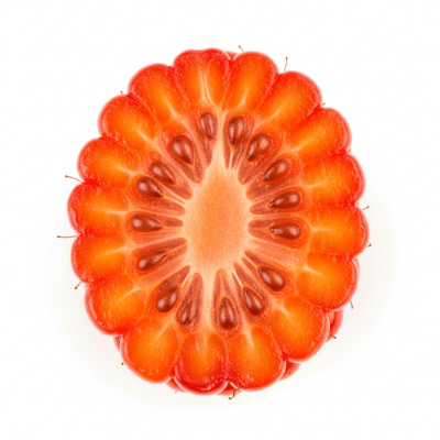 A cross-sectional view of a sliced Salmonberry, part of the taxonomy berries