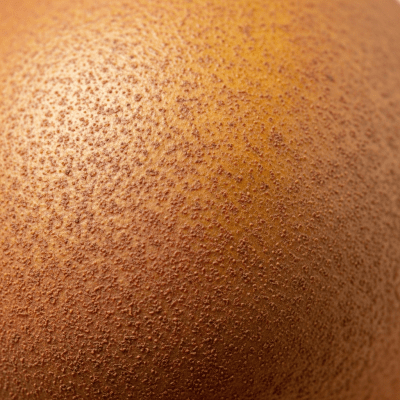 Macro shot capturing the surface texture and color details of the Sapodilla, within the fruits taxonomy