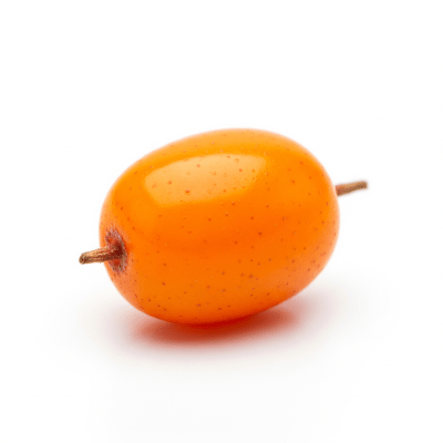 High quality studio photograph of a single Sea Buckthorn Berry, classified under the taxonomy berries