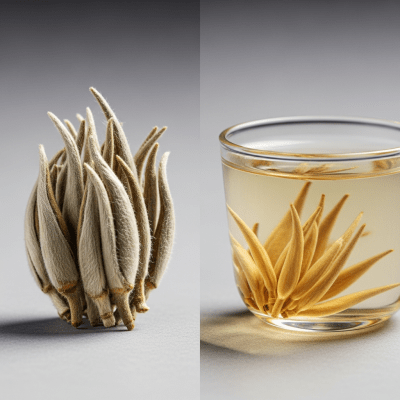 Cross-sectional close-up of a Silver Needle